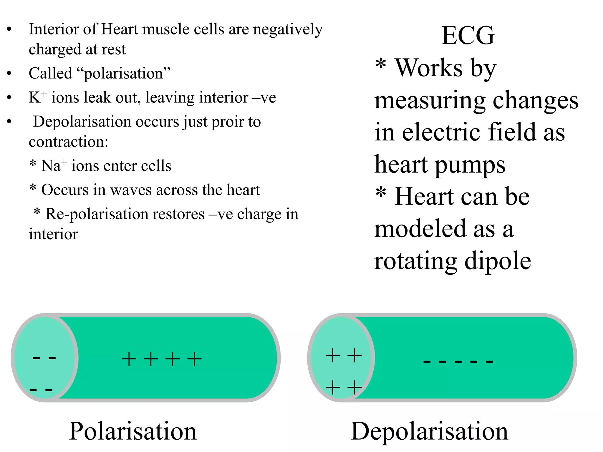 • Interior of Heart muscle cells are negatively
charged at rest
• Called “polarisation”
• K+ ions leak out, leaving interior –ve
• Depolarisation occurs just proir to
contraction:
* Na+ ions enter cells
* Occurs in waves across the heart
* Re-polarisation restores –ve charge in
interior
+ + + + - - - - -+ +
+ +
- -
- -
Polarisation Depolarisation
ECG
* Works by
measuring changes
in electric field as
heart pumps
* Heart can be
modeled as a
rotating dipole
 