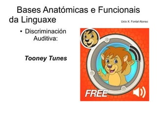 Bases Anatómicas e Funcionais
da Linguaxe Uxío X. Fontal Alonso
● Discriminación
Auditiva:
Tooney Tunes
 