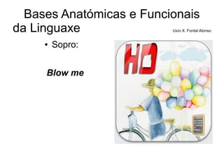 Bases Anatómicas e Funcionais
da Linguaxe Uxío X. Fontal Alonso
● Sopro:
Blow me
 