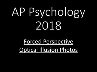AP Psychology
2018
Forced Perspective
Optical Illusion Photos
 