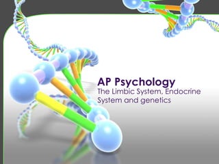 AP Psychology The Limbic System, Endocrine System and genetics 