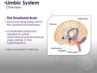 Ap psych limbic | PPT
