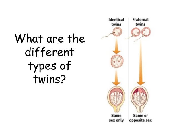 Nature Vs Nurture Ap Psychology Nature Vs Nurture Ap Psychology