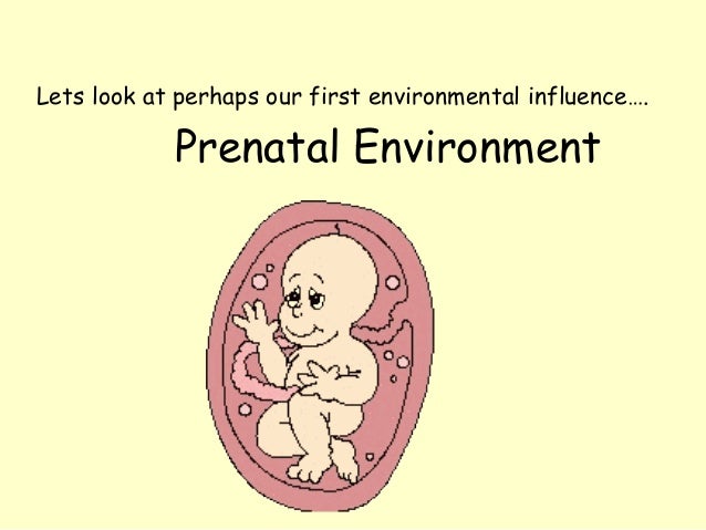 Ap Psychology Nature vs nurture