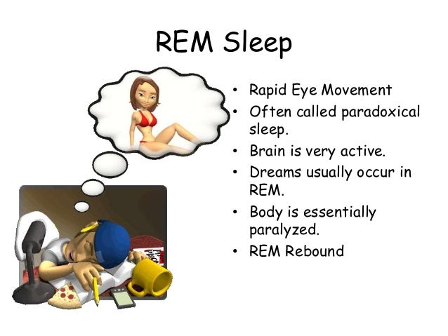 Paradox Sleep: A Psychological and Biological Perspective - LD