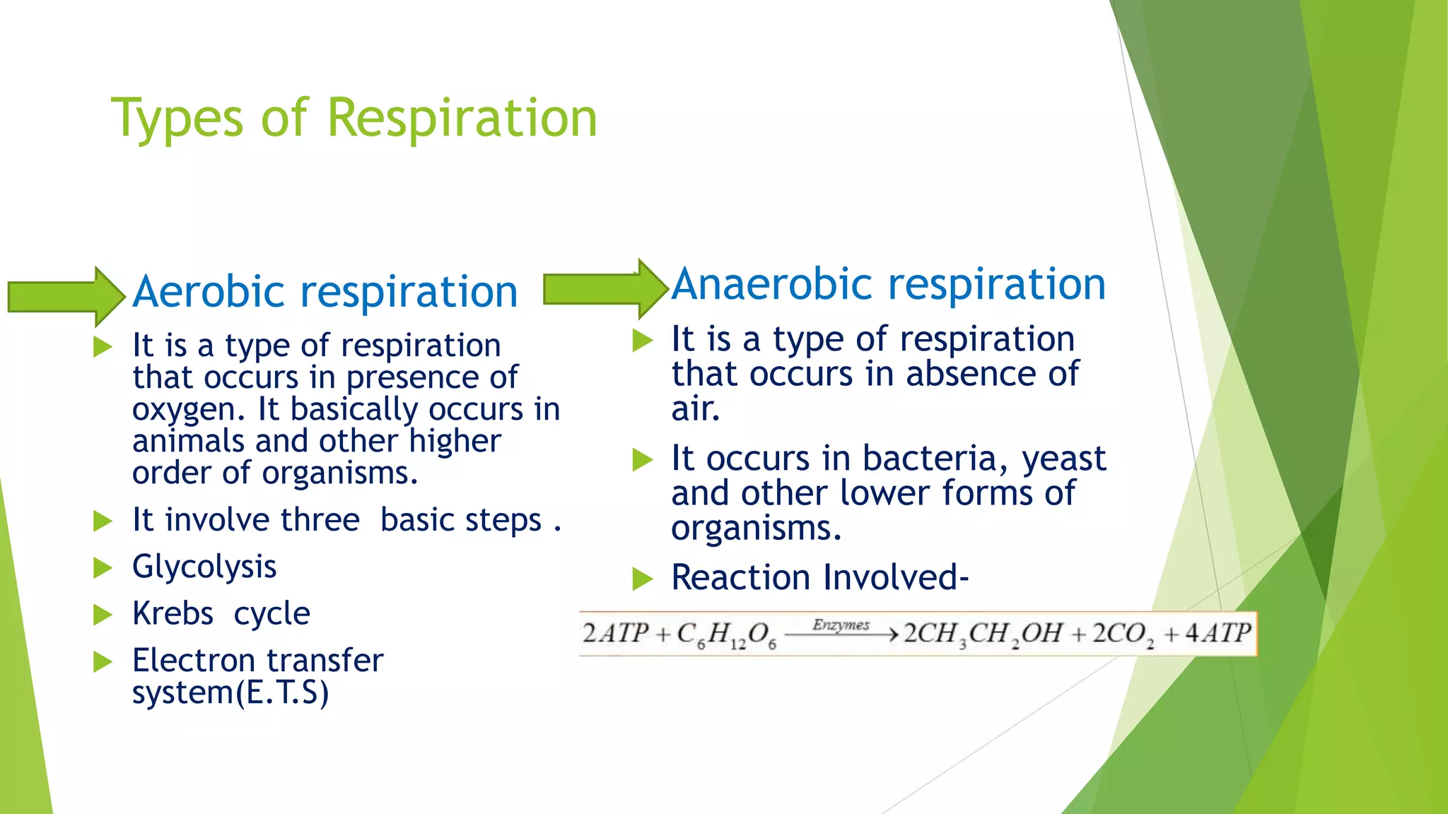A ppt on Anaerobic respiration by shubham mishra | PPTX