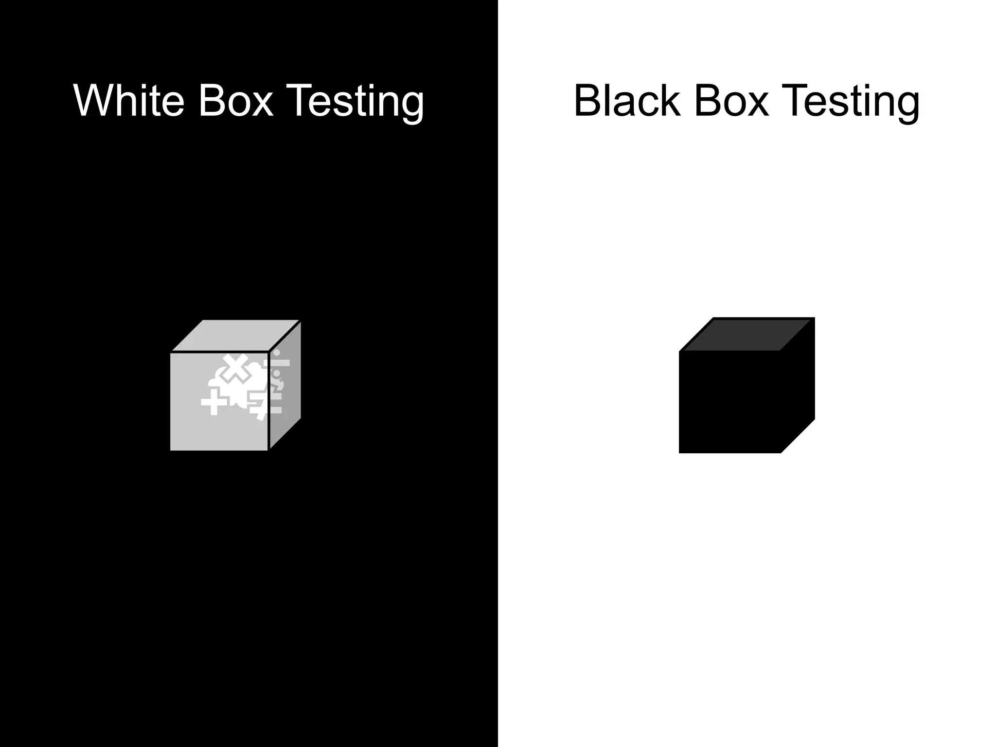 White Box Testing Black Box Testing
 