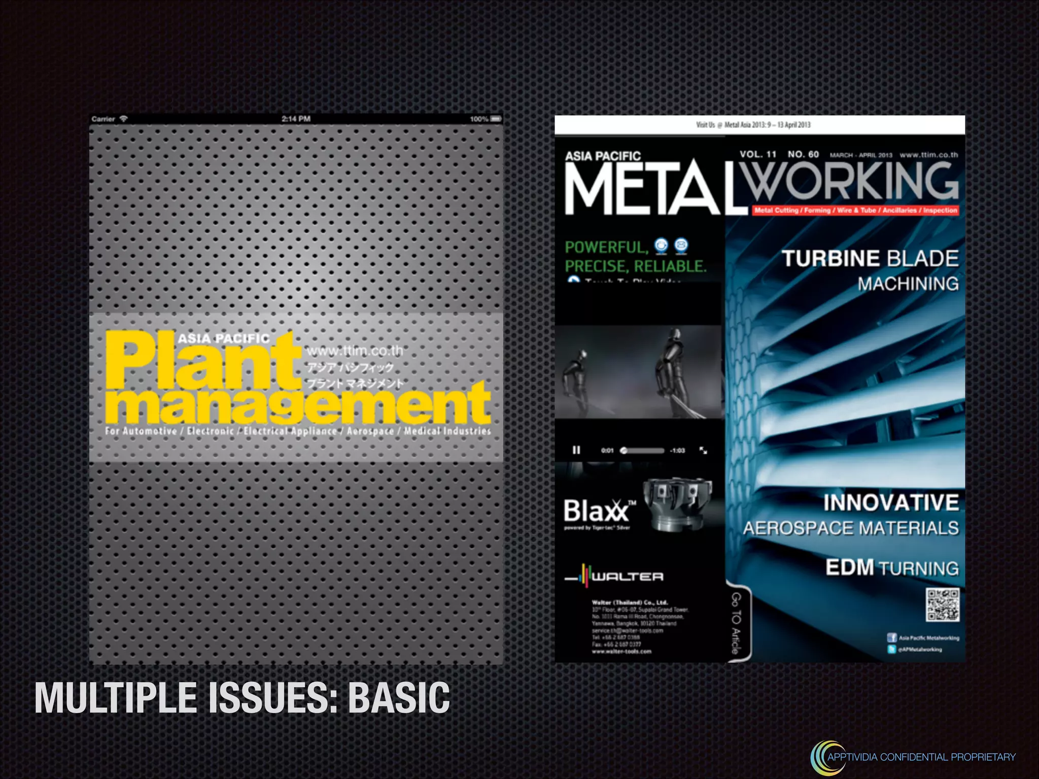 MULTIPLE ISSUES: BASIC
APPTIVIDIA CONFIDENTIAL PROPRIETARY
 