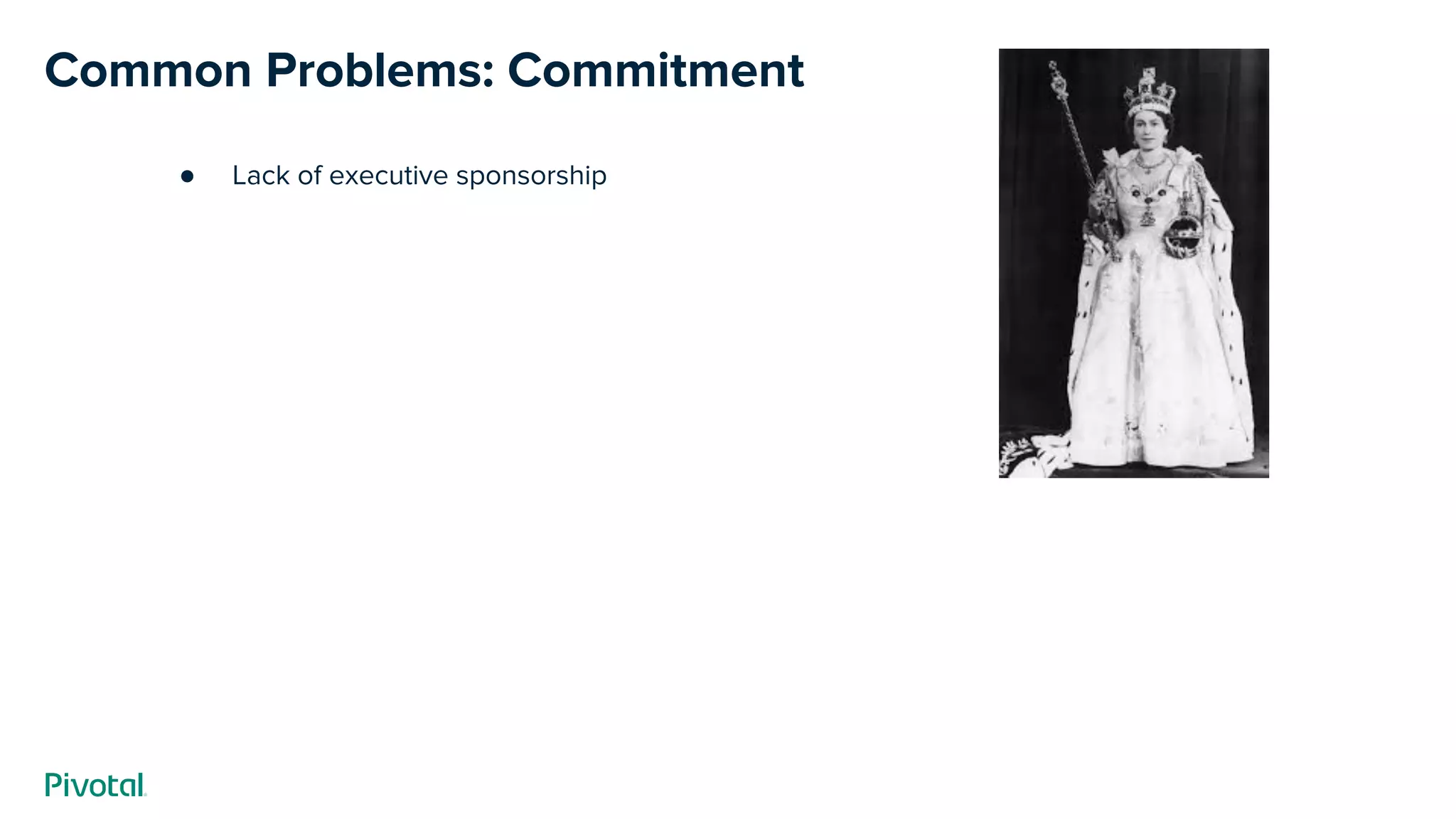 Common Problems: Commitment
● Lack of executive sponsorship
 
