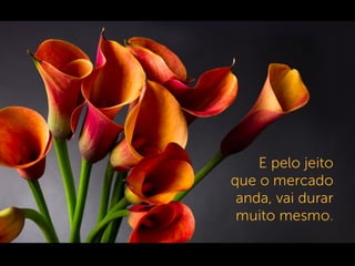 Vida Flores Permanentes - Franquias