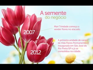 Vida Flores Permanentes - Franquias