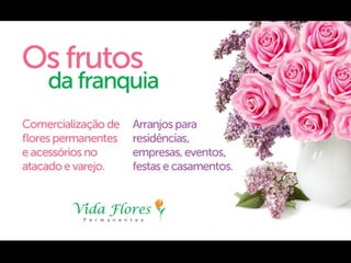 Vida Flores Permanentes - Franquias