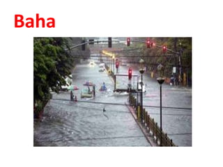 Baha
 