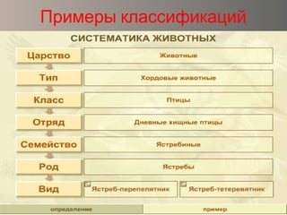 Примеры классификаций
 