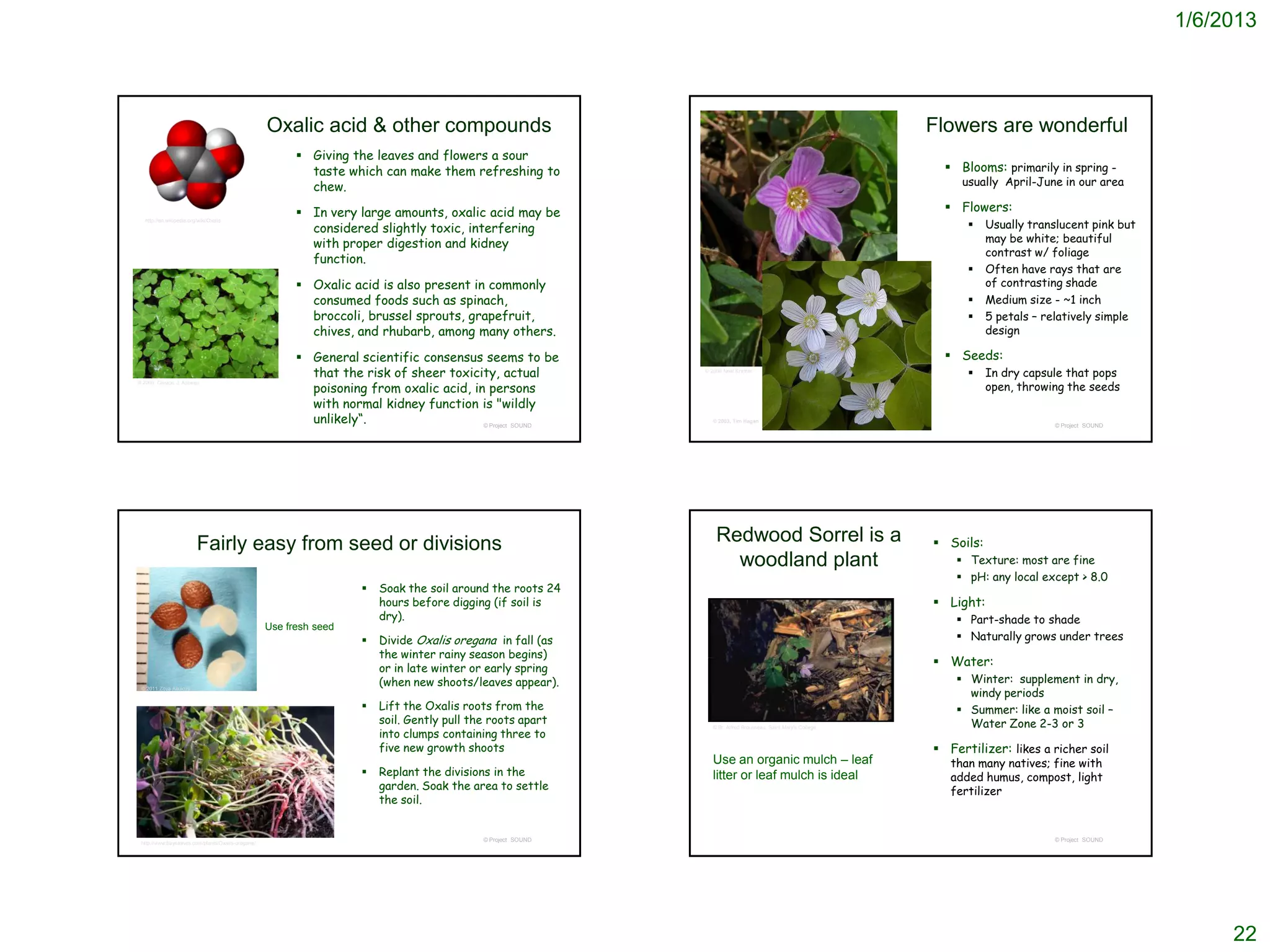 1/6/2013



                                                    Oxalic acid & other compounds                                                                               Flowers are wonderful
                                                           Giving the leaves and flowers a sour
                                                            taste which can make them refreshing to                                                                Blooms: primarily in spring -
                                                            chew.                                                                                                    usually April-June in our area

                                                           In very large amounts, oxalic acid may be                                                              Flowers:
                                                            considered slightly toxic, interfering                                                                        Usually translucent pink but
   http://en.wikipedia.org/wiki/Oxalis




                                                            with proper digestion and kidney                                                                               may be white; beautiful
                                                                                                                                                                           contrast w/ foliage
                                                            function.
                                                                                                                                                                          Often have rays that are
                                                           Oxalic acid is also present in commonly                                                                        of contrasting shade
                                                            consumed foods such as spinach,                                                                               Medium size - ~1 inch
                                                            broccoli, brussel sprouts, grapefruit,                                                                        5 petals – relatively simple
                                                            chives, and rhubarb, among many others.                                                                        design

                                                           General scientific consensus seems to be                                                               Seeds:
                                                            that the risk of sheer toxicity, actual            © 2008 Neal Kramer
                                                                                                                                                                          In dry capsule that pops
                                                            poisoning from oxalic acid, in persons                                                                         open, throwing the seeds
© 2006, Clayton J. Antieau



                                                            with normal kidney function is "wildly
                                                            unlikely“.                    © Project SOUND
                                                                                                                 © 2003, Tim Hagan
                                                                                                                                                                                       © Project SOUND




                          Fairly easy from seed or divisions                                                       Redwood Sorrel is a                           Soils:
                                                                                                                     woodland plant                                  Texture: most are fine
                                                                                                                                                                     pH: any local except > 8.0
                                                                        Soak the soil around the roots 24
                                                                         hours before digging (if soil is                                                        Light:
                                                                         dry).                                                                                       Part-shade to shade
                                                    Use fresh seed
                                                                        Divide Oxalis oregana in fall (as                                                           Naturally grows under trees
                                                                         the winter rainy season begins)
                                                                         or in late winter or early spring
                                                                                                                                                                 Water:
                                                                         (when new shoots/leaves appear).                                                            Winter: supplement in dry,
                                                                                                                                                                      windy periods
 © 2011 Zoya Akulova


                                                                        Lift the Oxalis roots from the                                                              Summer: like a moist soil –
                                                                         soil. Gently pull the roots apart                                                            Water Zone 2-3 or 3
                                                                         into clumps containing three to
                                                                                                                 © Br. Alfred Brousseau, Saint Mary's College



                                                                         five new growth shoots                                                                  Fertilizer: likes a richer soil
                                                                                                                 Use an organic mulch – leaf                       than many natives; fine with
                                                                        Replant the divisions in the            litter or leaf mulch is ideal                     added humus, compost, light
                                                                         garden. Soak the area to settle                                                           fertilizer
                                                                         the soil.


                                                                                             © Project SOUND                                                                           © Project SOUND
 http://www.baynatives.com/plants/Oxalis-oregana/




                                                                                                                                                                                                               22
 