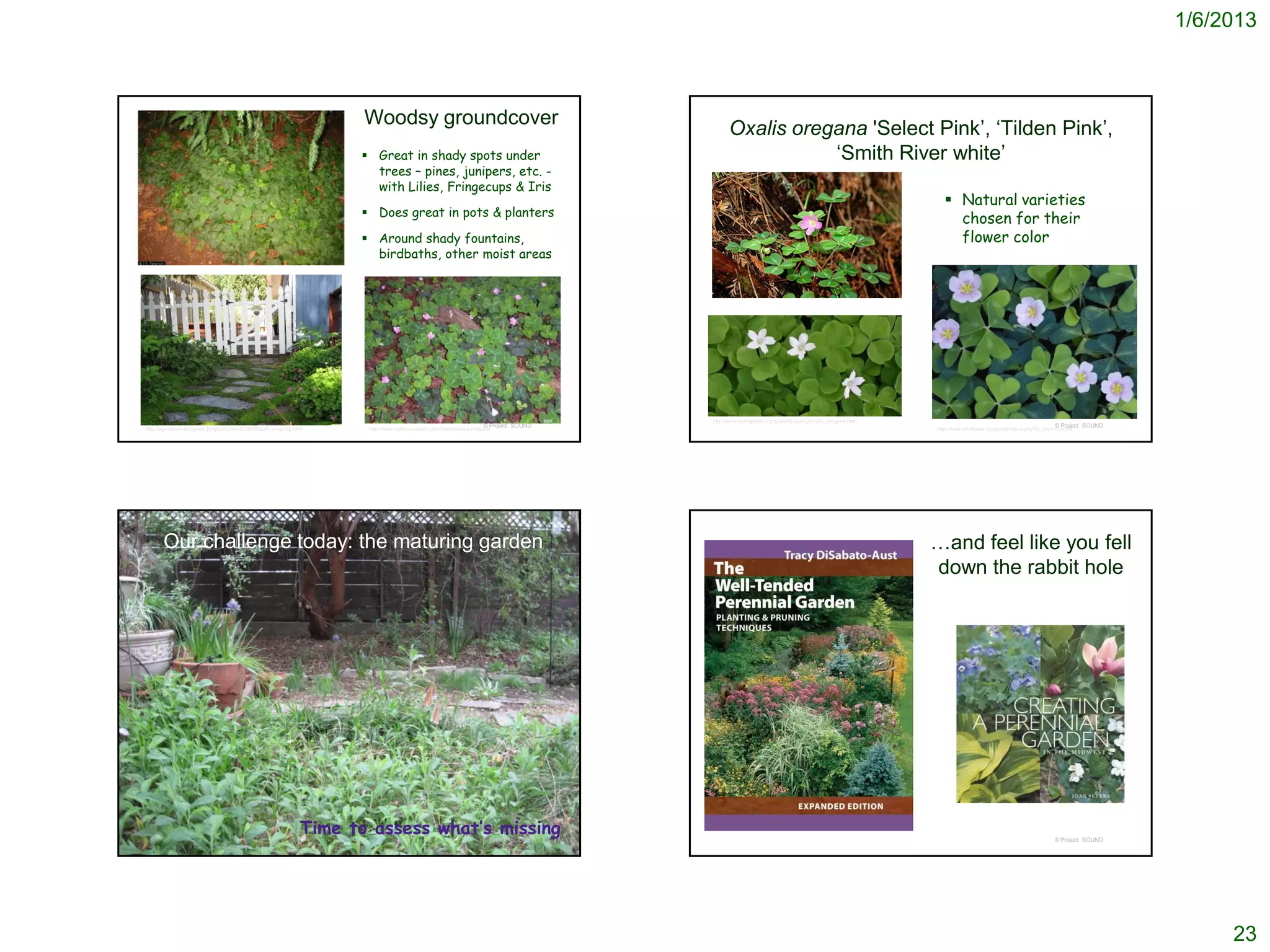 1/6/2013



                                                                        Woodsy groundcover
                                                                                                                                                 Oxalis oregana 'Select Pink’, ‘Tilden Pink’,
                                                                        Great in shady spots under                                                         ‘Smith River white’
                                                                         trees – pines, junipers, etc. -
                                                                         with Lilies, Fringecups & Iris
                                                                                                                                                                                                              Natural varieties
                                                                        Does great in pots & planters
                                                                                                                                                                                                               chosen for their
                                                                        Around shady fountains,                                                                                                               flower color
                                                                         birdbaths, other moist areas




                                                                                                                                           http://www.dunngardens.org/plants/spring/Oxalis_oregana.html
                                                                                                                         © Project SOUND                                                                                                                   © Project SOUND
http://agardenerinprogress.blogspot.com/2009/05/path-in-spring.html     http://www.calfloranursery.com/plants/oxalis-oregana                                                                              http://www.wildflower.org/plants/result.php?id_plant=OXOR




       Our challenge today: the maturing garden                                                                                                                                                           …and feel like you fell
                                                                                                                                                                                                          down the rabbit hole




                                                                 Time to assess what’s missing                           © Project SOUND                                                                                                                   © Project SOUND




                                                                                                                                                                                                                                                                                  23
 