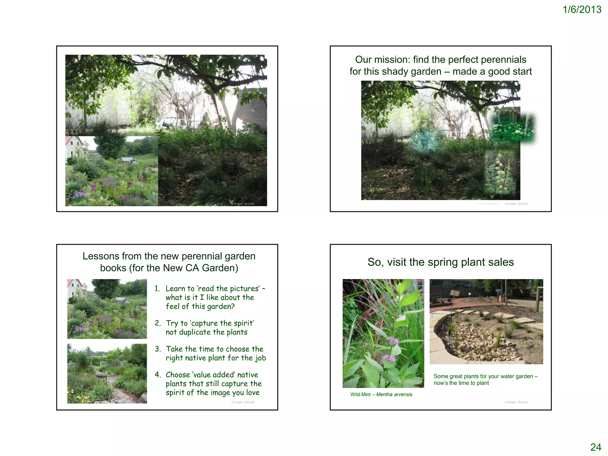 1/6/2013



                                                         Our mission: find the perfect perennials
                                                        for this shady garden – made a good start




                                      © Project SOUND                                                  © 2007 Matt Below   © Project SOUND




Lessons from the new perennial garden
   books (for the New CA Garden)
                                                               So, visit the spring plant sales

               1. Learn to ‘read the pictures’ –
                  what is it I like about the
                  feel of this garden?

               2. Try to ‘capture the spirit’
                  not duplicate the plants

               3. Take the time to choose the
                  right native plant for the job

               4. Choose ‘value added’ native                                         Some great plants for your water garden –
                  plants that still capture the                                       now’s the time to plant
                  spirit of the image you love          Wild Mint – Mentha arvensis
                                      © Project SOUND                                                                      © Project SOUND




                                                                                                                                                  24
 