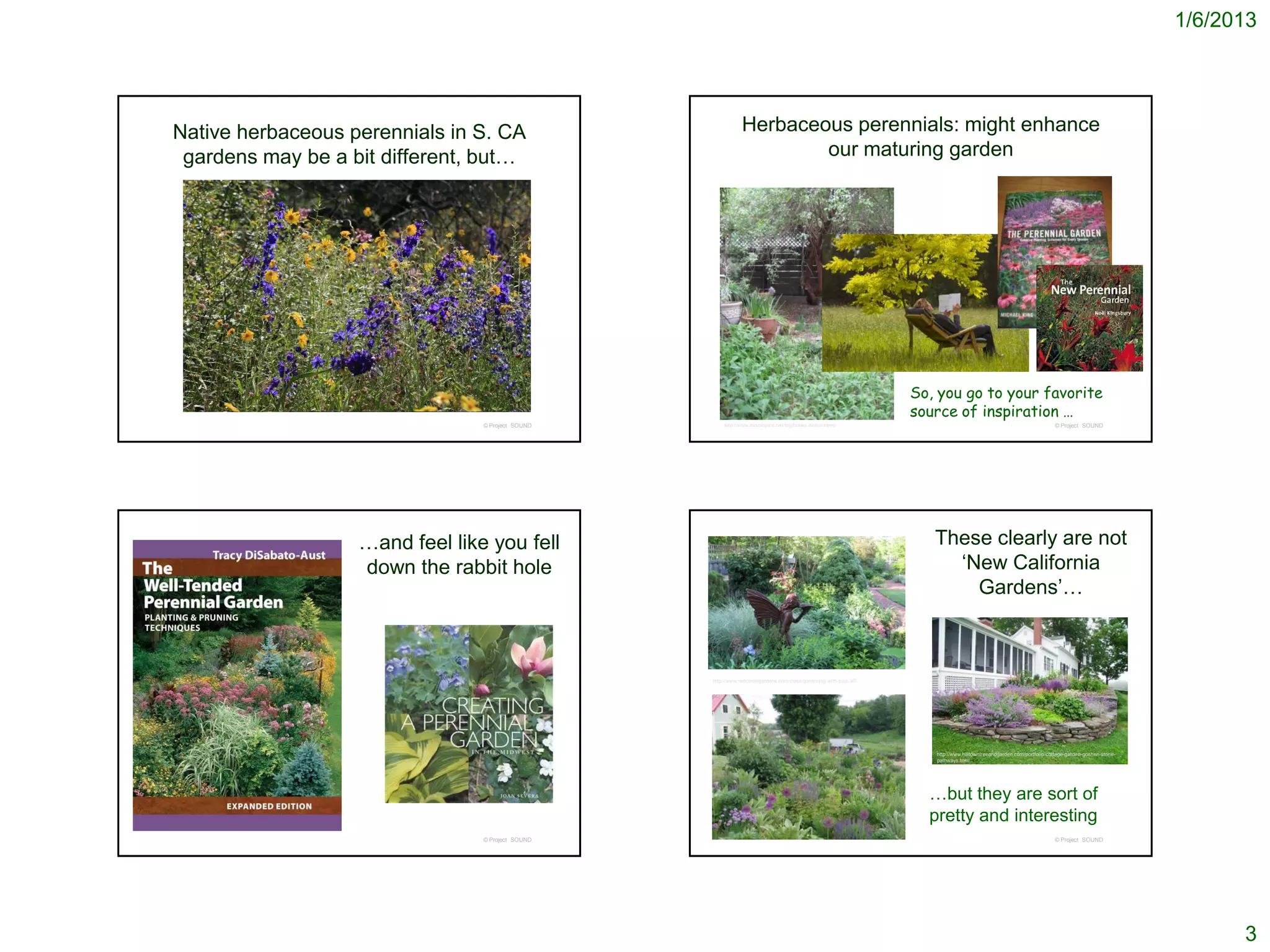 1/6/2013




Native herbaceous perennials in S. CA                          Herbaceous perennials: might enhance
 gardens may be a bit different, but…                                  our maturing garden




                                                                                                                  So, you go to your favorite
                                                                                                                  source of inspiration …
                                 © Project SOUND       http://www.thisoldyard.net/tag/books-about-trees/                                                              © Project SOUND




                   …and feel like you fell                                                                           These clearly are not
                   down the rabbit hole                                                                                ‘New California
                                                                                                                         Gardens’…



                                                   http://www.redcedargardens.com/class/gardening-with-suzi-30/




                                                                                                                     http://www.hilltowntreeandgarden.com/portfolio-cottage-garden-goshen-stone-
                                                                                                                     pathways.html




                                                                                                                    …but they are sort of
                                                                                                                    pretty and interesting
                                 © Project SOUND                                                                                                                      © Project SOUND




                                                                                                                                                                                                         3
 