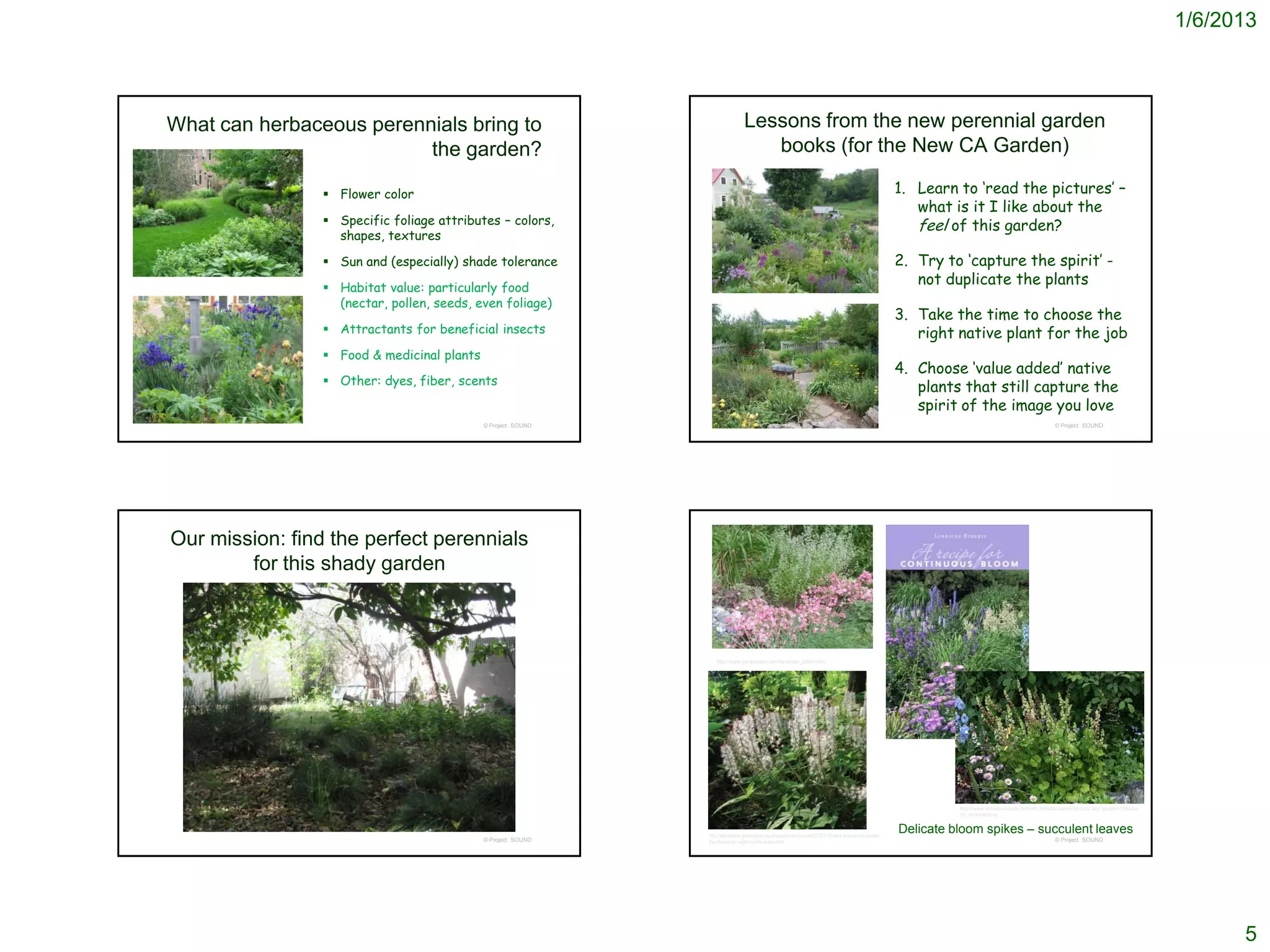 1/6/2013



What can herbaceous perennials bring to                                          Lessons from the new perennial garden
                          the garden?                                               books (for the New CA Garden)

                  Flower color                                                                                                                            1. Learn to ‘read the pictures’ –
                                                                                                                                                              what is it I like about the
                  Specific foliage attributes – colors,                                                                                                      feel of this garden?
                   shapes, textures

                  Sun and (especially) shade tolerance                                                                                                    2. Try to ‘capture the spirit’ -
                  Habitat value: particularly food
                                                                                                                                                              not duplicate the plants
                   (nectar, pollen, seeds, even foliage)
                                                                                                                                                           3. Take the time to choose the
                  Attractants for beneficial insects                                                                                                         right native plant for the job
                  Food & medicinal plants
                                                                                                                                                           4. Choose ‘value added’ native
                  Other: dyes, fiber, scents
                                                                                                                                                              plants that still capture the
                                                                                                                                                              spirit of the image you love
                                             © Project SOUND                                                                                                                                                 © Project SOUND




Our mission: find the perfect perennials
        for this shady garden



                                                                   http://www.gardenlady.com/favorites_2004.html




                                                                                                                                                                     http://www.anniesannuals.com/plt_lst/lists/search/lst.srch.asp?prodid=1055&sr
                                                                                                                                                                     ch_term=tellima



                                                               http://allanbecker-gardenguru.squarespace.com/journal/2012/1/12/plant-a-perennial-garden-
                                                                                                                                                           Delicate bloom spikes – succulent leaves
                                             © Project SOUND   that-flowers-for-eight-months-a-boo.html                                                                                                      © Project SOUND




                                                                                                                                                                                                                                                           5
 