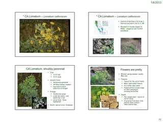 Perfect Perennials - Notes | PDF