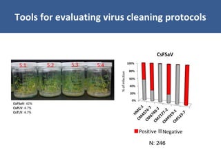 Unraveling Virus Complexes in Plants/ CIAT APR 2015