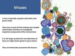 Unraveling Virus Complexes in Plants/ CIAT APR 2015