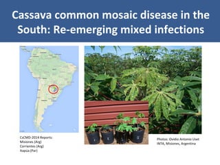 Unraveling Virus Complexes in Plants/ CIAT APR 2015
