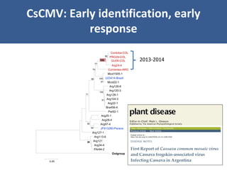 Unraveling Virus Complexes in Plants/ CIAT APR 2015