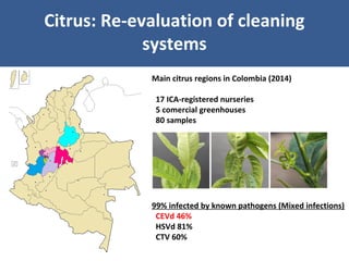 Unraveling Virus Complexes in Plants/ CIAT APR 2015