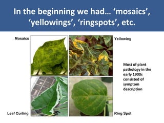 Unraveling Virus Complexes in Plants/ CIAT APR 2015