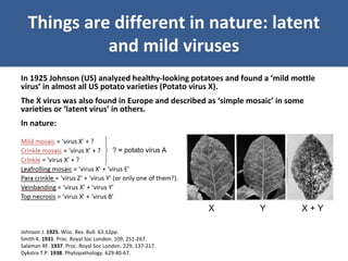 Unraveling Virus Complexes in Plants/ CIAT APR 2015