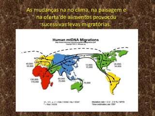 As mudanças na no clima, na paisagem e
    na oferta de alimentos provocou
      sucessivas levas migratórias.
 