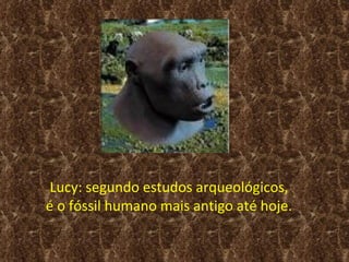 Lucy: segundo estudos arqueológicos,
é o fóssil humano mais antigo até hoje.
 