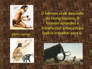 O homem atual descende
                  do Homo Sapiens. O
                  homem aprendeu a
               transformar a Natureza e
Homo Sapiens    fazê-la trabalhar para si.
 
