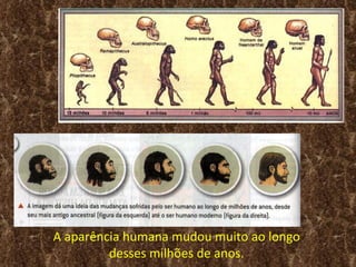 A aparência humana mudou muito ao longo
         desses milhões de anos.
 