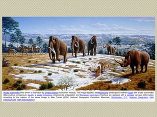 Woolly mammoths were driven to extinction by climate change and human impacts. The image depicts a latePleistocene landscape in northern Spain with woolly mammoths
(Mammuthus primigenius), equids, a woolly rhinoceros (Coelodonta antiquitatis), and European cave lions (Panthera leo spelaea) with a reindeer carcass. (Information
according to the caption of the same image in Alan Turner (2004) National Geographic Prehistoric Mammals, Washington, D.C.: National Geographic ISBN
9780792271345, ISBN 9780792269977)
 