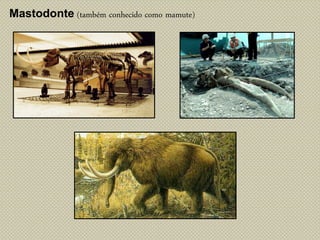 Mastodonte (também conhecido como mamute)
 