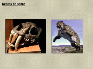 Dentes-de-sabre
 
