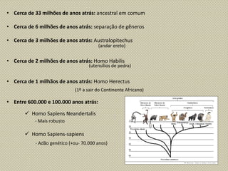 • Cerca de 33 milhões de anos atrás: ancestral em comum
• Cerca de 6 milhões de anos atrás: separação de gêneros
• Cerca de 3 milhões de anos atrás: Australopitechus
• Cerca de 2 milhões de anos atrás: Homo Habilis
• Cerca de 1 milhãos de anos atrás: Homo Herectus
• Entre 600.000 e 100.000 anos atrás:
 Homo Sapiens Neandertalis
 Homo Sapiens-sapiens
(andar ereto)
(utensílios de pedra)
(1º a sair do Continente Africano)
- Mais robusto
- Adão genético (+ou- 70.000 anos)
 
