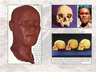 Da esquerda para a direita, crânios típicos das populações africanas,
asiáticas e européias: os paleoamericanos eram próximos ao primeiro
grupo e teriam chegado ao continente há 14 mil anos
 