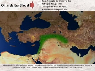 Há cerca de 15.000 o fim da glaciação permitiu a formação do Crescente Fértil, que se revelou um dos melhores lugares para o humano se
extabelecer, devido o clima e frondosa fauna e flora que ser desenvolveram na região. Rico em gramíneas.
O fim da Era Glacial
• Desertificação de áreas verdes
• Retração das geleiras
• Elevação do nível do mar
• Alterações nas vegetações
 