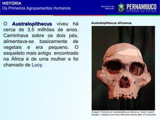 Australopithecus africanuAustralopithecus africanussO AustralopithecusAustralopithecus viveu há
cerca de 3,5 milhões de anos.
Caminhava sobre os dois pés,
alimentava-se basicamente de
vegetais e era pequeno. O
esqueleto mais antigo encontrado
na África é de uma mulher e foi
chamado de Lucy.
Imagem: Face de um Australopithecus africanus / Autor: Guérin
Nicolas / Creative Commons Attribution-Share Alike 3.0 Unported.
HISTÓRIA
Os Primeiros Agrupamentos Humanos
 