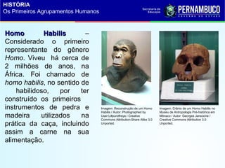 Homo HabilisHomo Habilis –
Considerado o primeiro
representante do gênero
Homo. Viveu há cerca de
2 milhões de anos, na
África. Foi chamado de
homo habilis, no sentido de
habilidoso, por ter
construído os primeiros
instrumentos de pedra e
madeira utilizados na
prática da caça, incluindo
assim a carne na sua
alimentação.
Imagem: Reconstrução de um Homo
Habilis / Autor: Photographed by
User:Lillyundfreya / Creative
Commons Attribution-Share Alike 3.0
Unported.
Imagem: Crânio de um Homo Habilis no
Museu de Antropologia Pré-histórica em
Mônaco / Autor: Georges Jansoone /
Creative Commons Attribution 3.0
Unported.
HISTÓRIA
Os Primeiros Agrupamentos Humanos
 