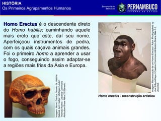 Homo erectusHomo erectus - reconstrução artística- reconstrução artística
Homo ErectusHomo Erectus é o descendente direto
do Homo habilis; caminhando aquele
mais ereto que este, daí seu nome.
Aperfeiçoou instrumentos de pedra,
com os quais caçava animais grandes.
Foi o primeiro homo a aprender a usar
o fogo, conseguindo assim adaptar-se
a regiões mais frias da Ásia e Europa.
Imagem:ReconstruçãodeumHomoErectus/Autor:Photographedby
User:Lillyundfreya/CreativeCommonsAttribution-ShareAlike3.0
Unported.
Imagem:HomoErectus.MuseudeHistória
Natural,AnnHarbor,Michigan/Autor:
ThomasRoche/CreativeCommons
Attribution-ShareAlike2.0Generic.
HISTÓRIA
Os Primeiros Agrupamentos Humanos
 