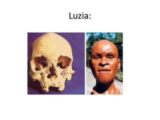 Luzia:
 