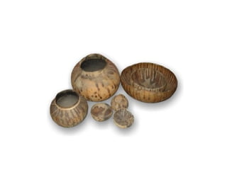 A pré história no brasil