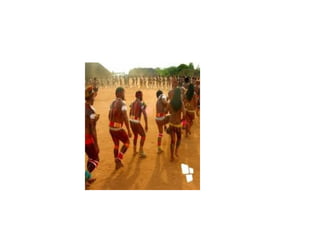 A pré história no brasil