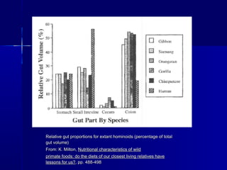 Relative gut proportions for extant hominoids (percentage of totalRelative gut proportions for extant hominoids (percentage of total
gut volume)gut volume)
From: K. Milton,From: K. Milton, Nutritional characteristics of wildNutritional characteristics of wild
primate foods: do the diets of our closest living relatives haveprimate foods: do the diets of our closest living relatives have
lessons for us?lessons for us?, pp. 488-498, pp. 488-498
 