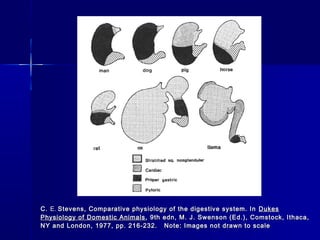 C.C. E.E. Stevens, Comparative physiology of the digestive system. InStevens, Comparative physiology of the digestive system. In DukesDukes
Physiology of Domestic AnimalsPhysiology of Domestic Animals ,, 9th edn, M. J. Swenson (Ed.), Comstock, Ithaca,9th edn, M. J. Swenson (Ed.), Comstock, Ithaca,
NY and London, 1977, pp. 216-232. Note: Images not drawn to scaleNY and London, 1977, pp. 216-232. Note: Images not drawn to scale
 