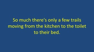 So much there's only a few trails
moving from the kitchen to the toilet
to their bed.
 